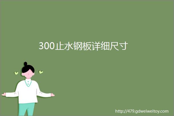 300止水钢板详细尺寸